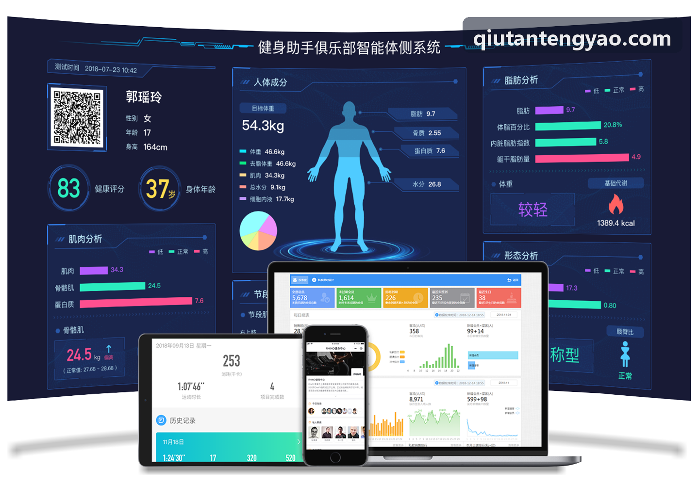 赛事直播实时包装版图表渲染